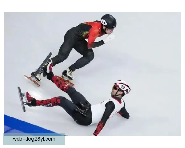 用户偏好中文简洁标题创作。刘少昂意外摔倒憾别决赛