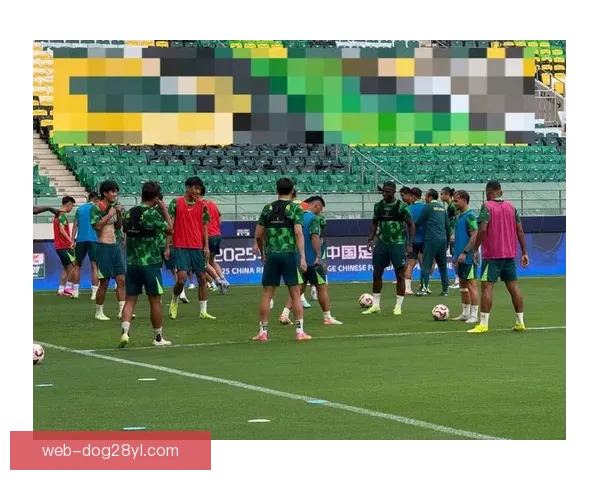 国安球员塞尔吉尼奥等康复训练全记录